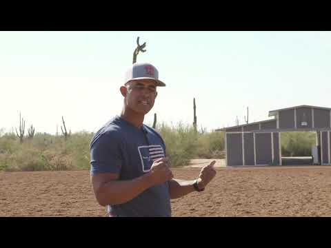 Видео: КАК НАУЧИТЬ ЛОШАДЬ ВЫПОЛНЯТЬ СКОЛЬЗЯЩУЮ ОСТАНОВКУ