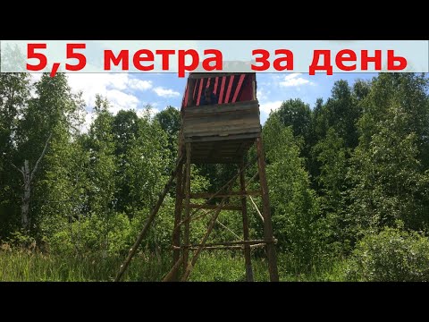 Видео: Лабаз для охоты на кабана или медведя