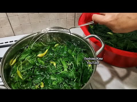 Видео: ОГОРОДНЫЙ *МУСОР‼️Готовим НА ЗИМУ 💯Это ОЧЕНЬ ВКУСНО ‼️