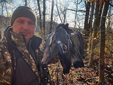 Видео: Открылся по вяхирю в Туапсинском районе Готовлю птицу Декабрь 2024