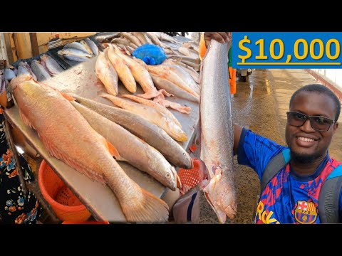 Видео: ШОППИНГ НА 10 000 ДОЛЛАРОВ НА КРУПНЕЙШЕМ РЫБНОМ РЫНКЕ ГАЙАНЫ