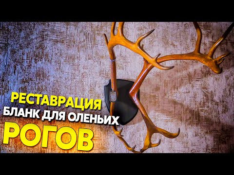 Видео: Реставрация рогов оленя, изготовление бланка
