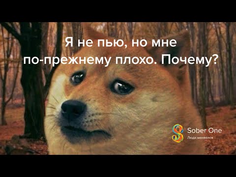 Видео: Я не пью, но мне все равно плохо: пост-абстинентный синдром