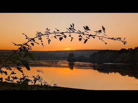 Видео: Откройте для себя красоту Днестра! #Молдова #ТуризмМолдова #Природа #готовимнакостре #ОтдыхНаДнестре