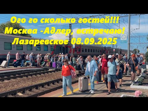 Видео: Ого сколько гостей приехало!  Москва -Адлер. Ст.Лазаревская , сентябрь 2025 .