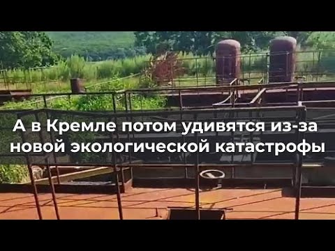 Видео: А в Кремле потом удивятся из за новой экологической катастрофы