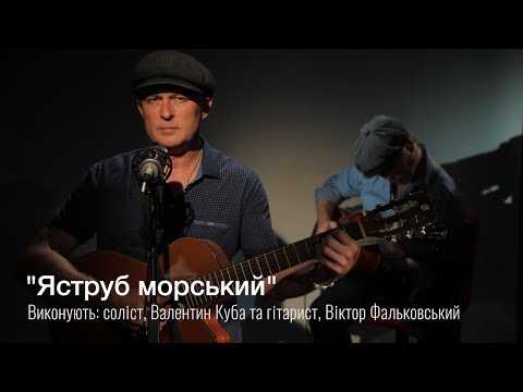Видео: Валентин Куба и Виктор Фальковский: "Ястреб морской"| За стеклом