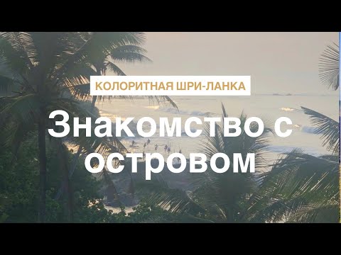 Видео: Будни на тропическом острове. Колоритная Шри-Ланка