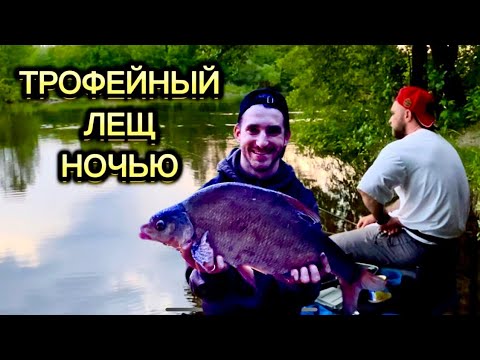 Видео: Ловля трофейного леща ночью ! Рыбалка на фидер ! #рыбалка #фидер #лещ