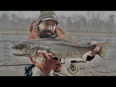 Видео: Мартовские трудности, ловля лосося нахлыстом, путешествия с семьей и строительство бревенчатой ​​...