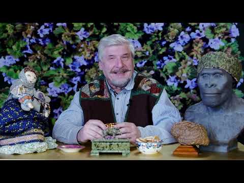 Видео: Самострел мозга. С.В. Савельев. "Пироги Мухи"