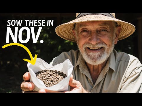 Видео: 10 семян, которые ОБЯЗАТЕЛЬНО нужно посадить в ноябре (мой секрет урожая круглый год)