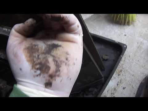 Видео: 2н118 ч2