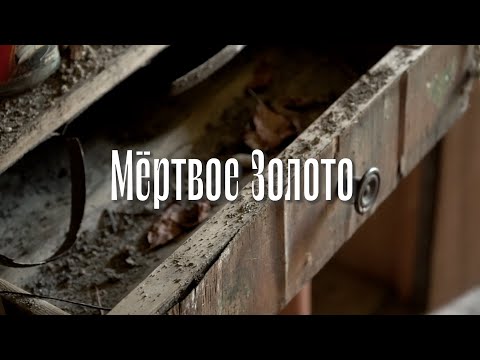 Видео: Мёртвое золото