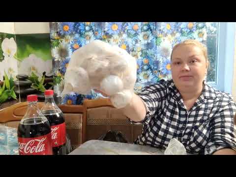 Видео: распаковка из светофора🚦👍