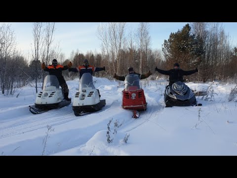 Видео: Тайга барс и бураны