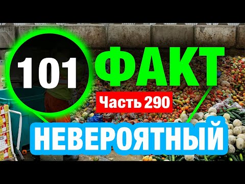 Видео: 101 Интересный Факт В Который Вы Не Поверите