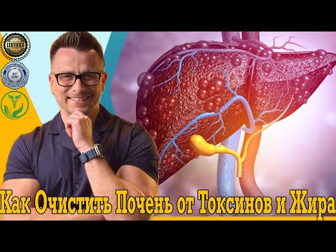 Видео: Как очистить печень от токсинов и жира!