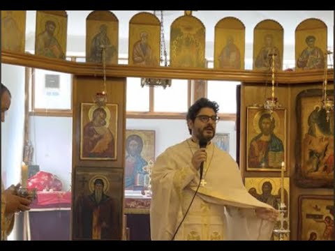 Видео: Жената Самарянка и срещата ѝ с Бога (отец Добромир Димитров)