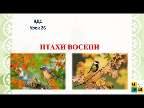 Видео: ЯДС 2 клас Урок 26 ПТАХИ ВОСЕНИ. Жаркова