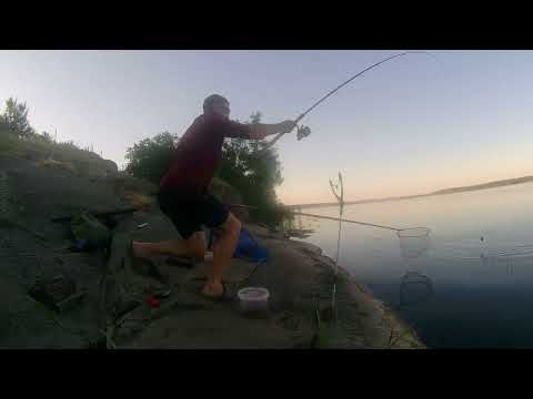 Видео: Фидерная рыбалка в поселке Келеберда. Попал на батонистую плотву #фидер #днепр #2022