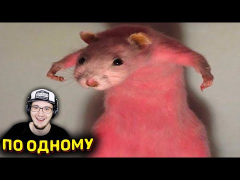 Видео: ЗАСМЕЯЛСЯ - ПРОИГРАЛ ► ЛУЧШИЕ ПРИКОЛЫ ( УЛЫБНУЛИСЬ ПРОИГРАЛИ СОЮЗ СМЕХА ) | Реакция