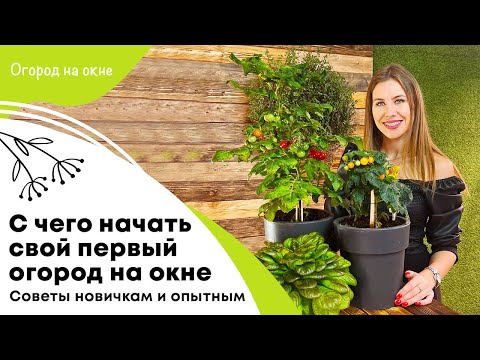 Видео: С чего начать огород на окне | Советы новичкам и опытным ситифермерам