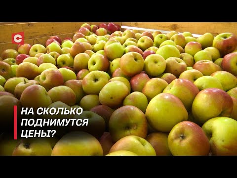 Видео: Цены на овощи и фрукты поднимутся! К чему стоит приготовиться белорусам?