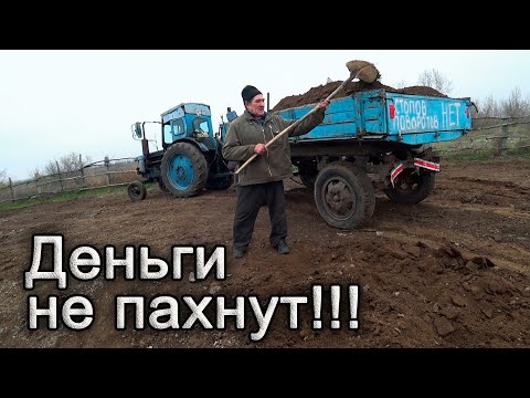 Видео: Бизнес в 73 года! Т-40 ч.2