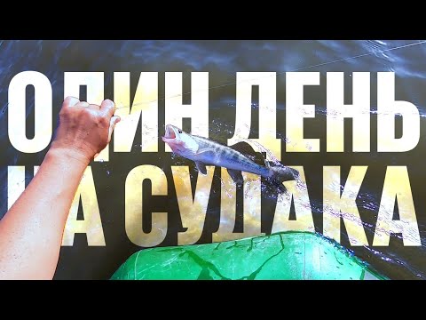 Видео: Один день на судака: ловля на малька