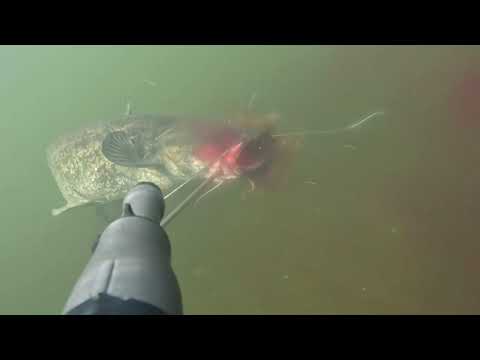 Видео: Урал  Сом Судак прозрак супер