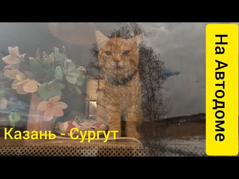 Видео: Казань - Сургут на Автодоме.