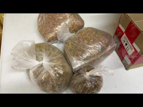 Видео: Обзор аквариумов и распаковка посылок