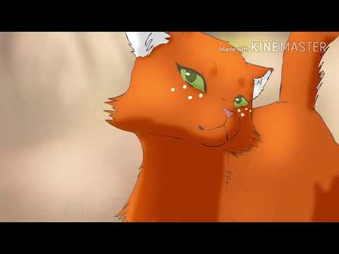 Видео: Коты воители - Время нас не лечит.