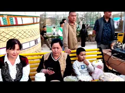 Видео: 19.03.25🇺🇿Сегодня в Кунграде весенний праздник весны"Навруз"(часть-2)