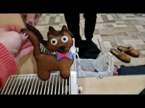 Видео: Всё утро за ним гонялась / вкусные бризоли