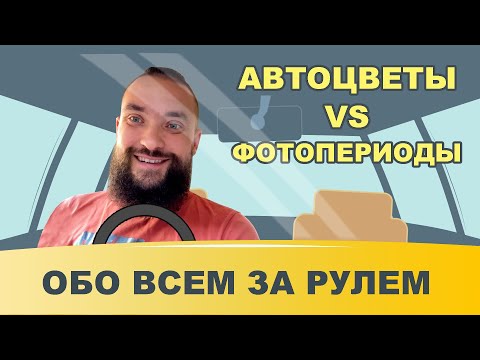 Видео: Обо всем за рулем #32 / Автоцветы и фотопериоды - в чем разница? / Mr.GrowChannel