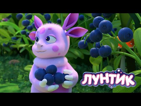 Видео: Лунтик | Ягодный сбор 🍓🍓🍓 Сборник мультиков для детей