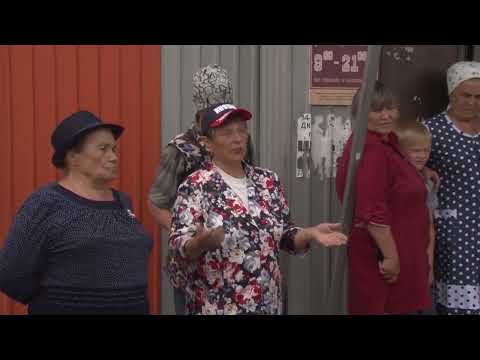 Видео: Свинство со смертельным исходом / 11-й на связи 25.07.22