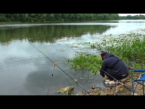 Видео: Ловля ЛЕЩА на ДОНКУ на мелководье! Ловля леща на ОКЕ ! Рыбалка на ОКЕ!