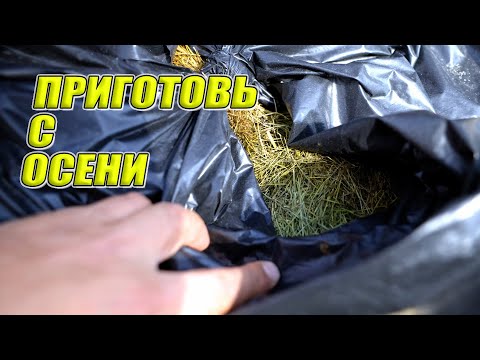 Видео: Приготовьте с осени бесплатное пролонгированное удобрение для кабачков САЖАЮ КАБАЧКИ ТОЛЬКО ТАК