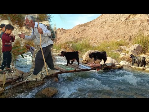 Видео: Кочевая жизнь иранского Загроса, встреча внука с дедушкой Гола Мамеда