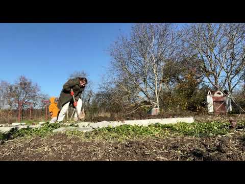 Видео: Дом за $2000. Осенняя уборка. Готовимся к зиме.