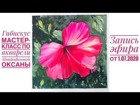 Видео: Гибискус. Мастер-класс по акварели Митрофановой Оксаны. Запись прямого эфира от 1.07.2020