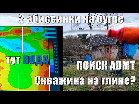 Видео: Абиссинка получилась там, где не должна! Абиссинка на бугре. Абиссинка на глине. Поиск воды AMDT.