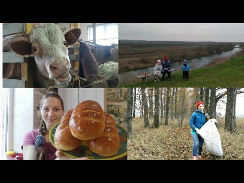 Видео: Пора уже в ЭТОМ ПРИЗНАТЬСЯ... 🙈🐔🐂🥖🧀