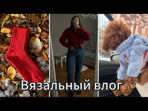 Видео: Вязальный влог 4* ноябрь много разговоров/ свитера для пёсиков/ носочки/ люрекс/ вязаные конфеты