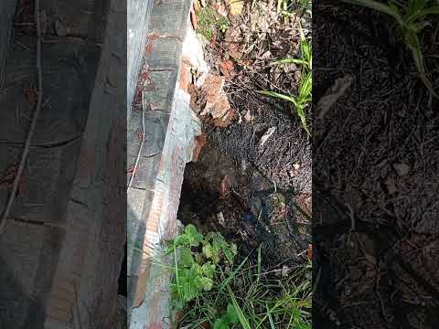 Видео: 21 октября 2025 г.