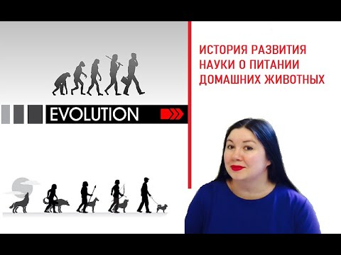 Видео: История развития кормления и науки о питании домашних питомцев #ветеринарнаядиетология #vetnutrition