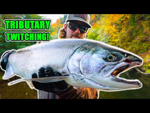 Видео: Ловля кижуча на притоке, блесны, икра и многое другое!